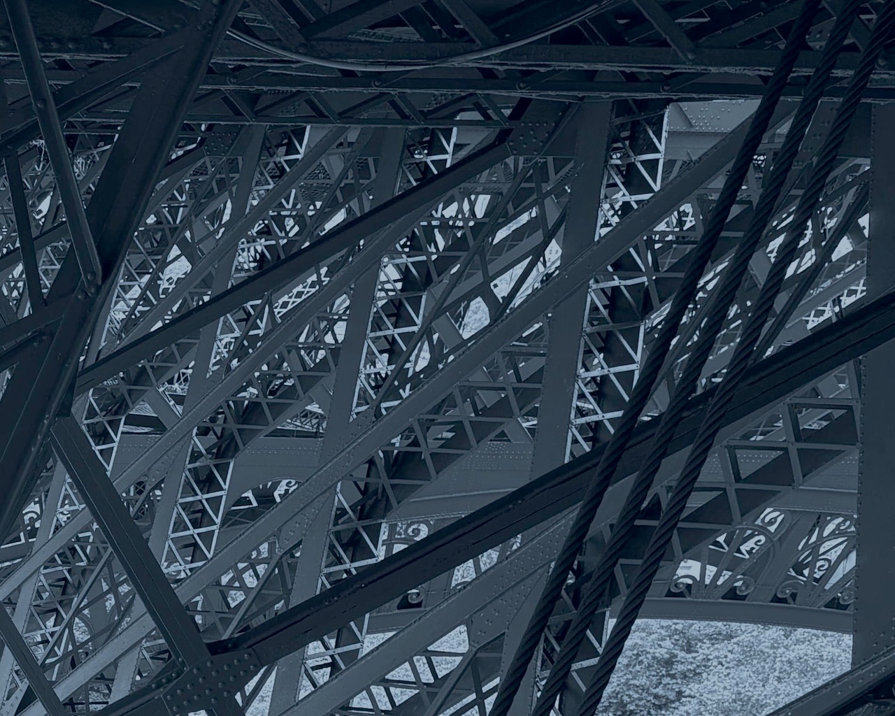 Learning and Scale
